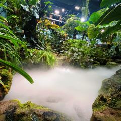 泰椰天香·江景六国料理 User Photo