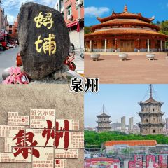 张林阿山姜母鸭(泉州新华北路店) User Photo