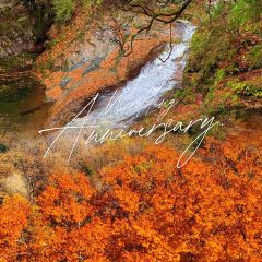 南江黄羊汤锅城 여행 사진