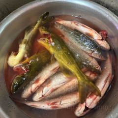 南哥小厨 User Photo