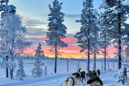 XINGDOU KOREAN EXPRESS RESTAURANT