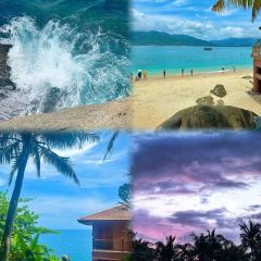 dan jia yu pai User Photo