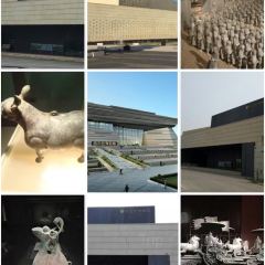 WEIDAOJIA MAMACAI User Photo