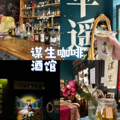 谋生咖啡馆 User Photo