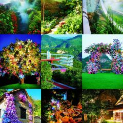 WEIDAOJIA MAMACAI User Photo