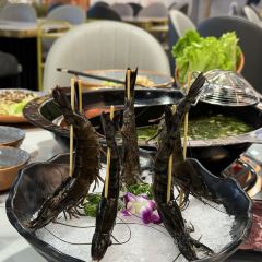 XIN SHI HUI User Photo