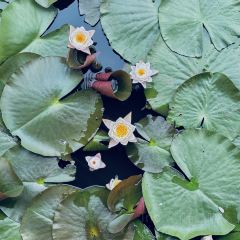 燕子湖农荘 User Photo