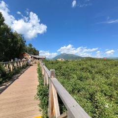 禾木老村山庄 User Photo