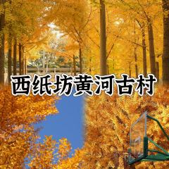 BO SHAN CAI GUAN User Photo