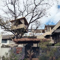 巋然·觀雪山雲海丨曠野星空 度假飯店（白沙古鎮店）·巋然雪山花園咖啡張用戶圖片