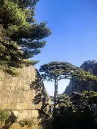 12月1號,天晴,徒步20多公里遊覽黃山