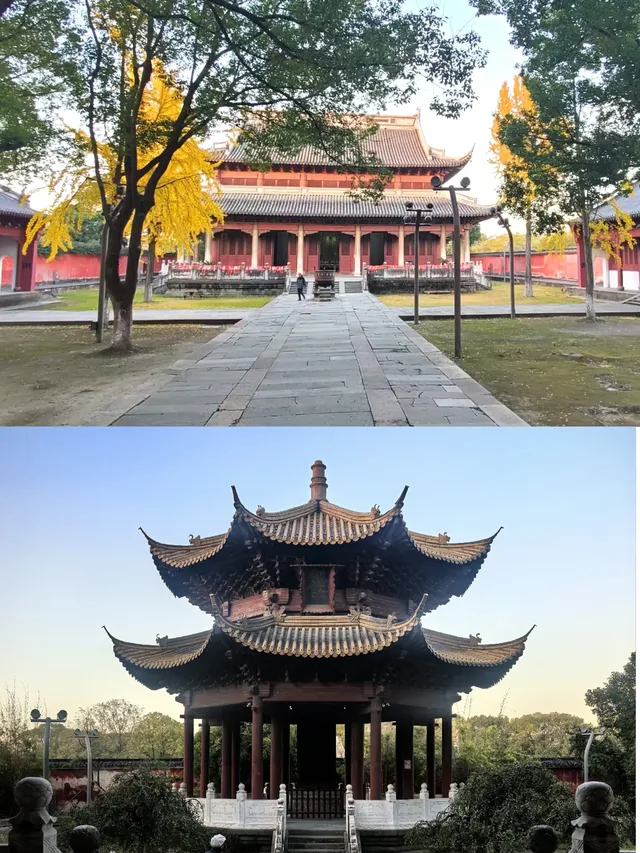 上海週末11|我在乾隆故里拍到了鵝生照片 上海週末11|我在乾隆故里拍到了鵝生照片