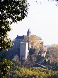 蔣公古道|5小時解鎖莫干山秋日限定美麗