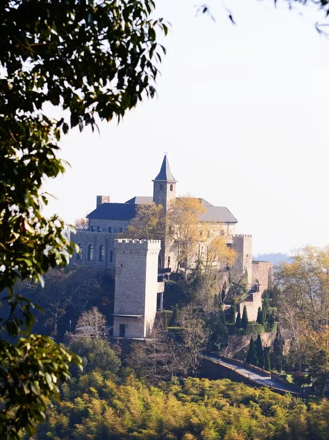 蔣公古道|5小時解鎖莫干山秋日限定美麗