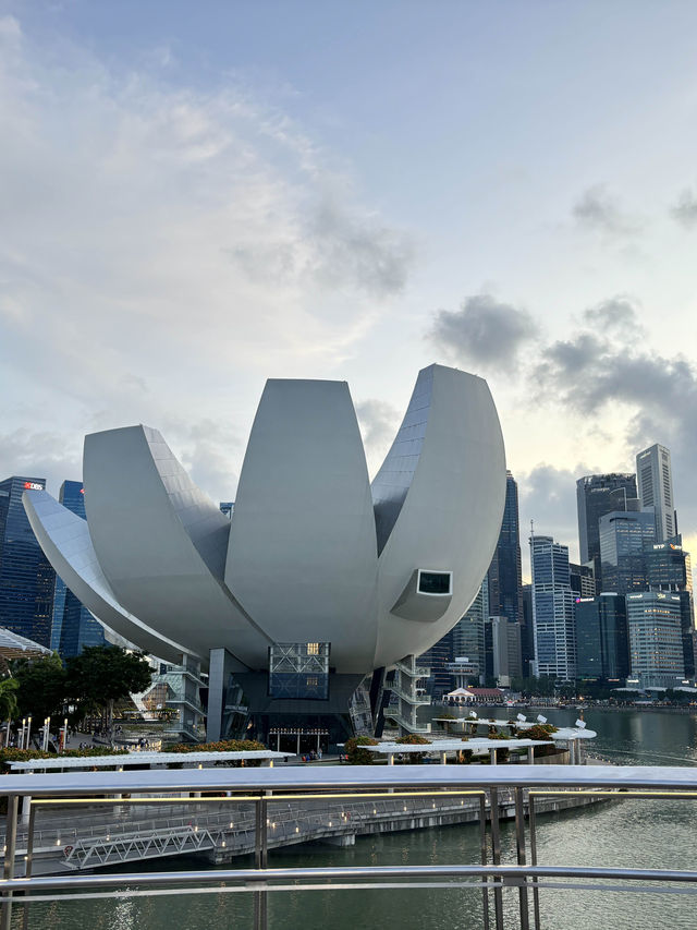 🇸🇬 TOP MUST-SEE IN SG