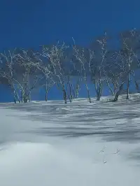 長白山雙坡打卡 是被天池選中的幸運兒 