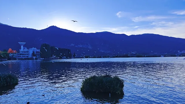 今日實況|昆明冬日頂流玩法！附海鷗地圖