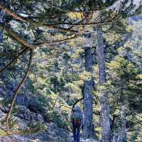 Conquering Jade Mountain: Taiwan's Majestic Summit