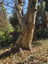 不避雷!莫干山自駕徒步賞秋滬人經驗貼