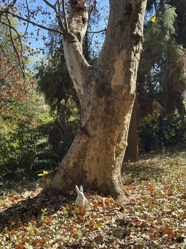 不避雷!莫干山自駕徒步賞秋滬人經驗貼 不避雷!莫干山自駕徒步賞秋滬人經驗貼