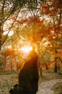 抬頭邂逅一場落地的「星辰」