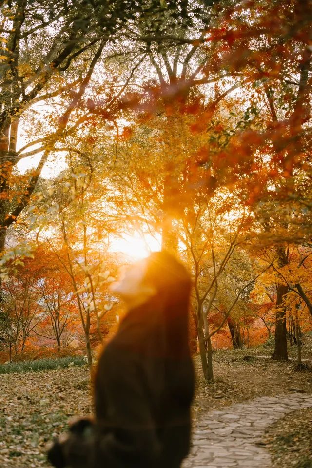 抬頭邂逅一場落地的「星辰」