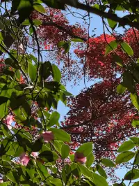 不避雷!莫干山自駕徒步賞秋滬人經驗貼