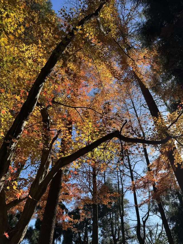 不避雷!莫干山自駕徒步賞秋滬人經驗貼 不避雷!莫干山自駕徒步賞秋滬人經驗貼