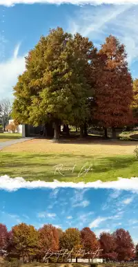 上海辰山植物園遛娃賞秋景