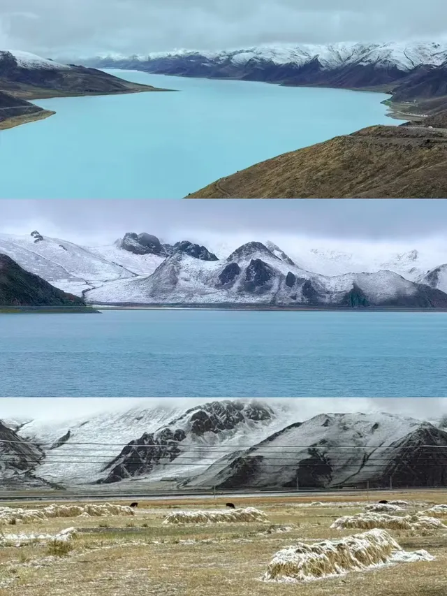 P人女生獨闖拉薩攻略|solotrip指南 P人女生獨闖拉薩攻略|solotrip指南