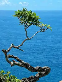 救命!終於親眼看到蘋果壁紙取景地了