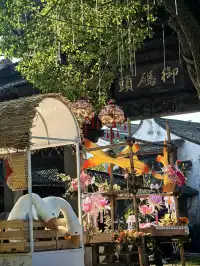 上海週末11|我在乾隆故里拍到了鵝生照片