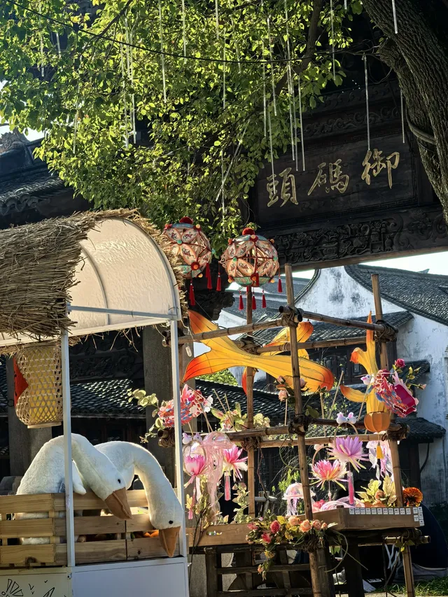 上海週末11|我在乾隆故里拍到了鵝生照片 上海週末11|我在乾隆故里拍到了鵝生照片