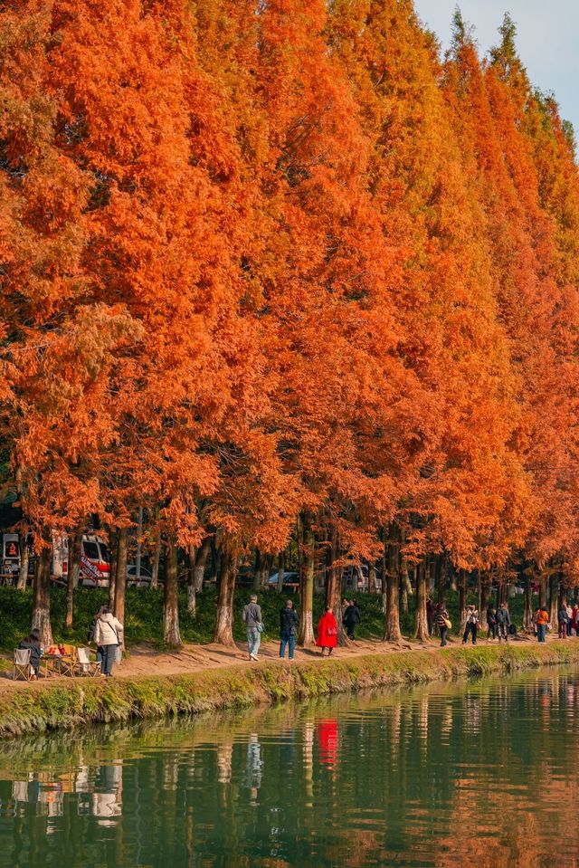 金色秘境打卡帶你飛