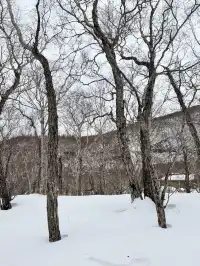 長白山雙坡打卡 是被天池選中的幸運兒 