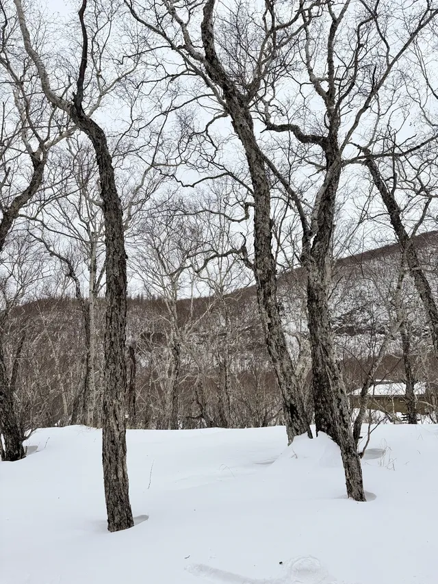長白山雙坡打卡 是被天池選中的幸運兒 