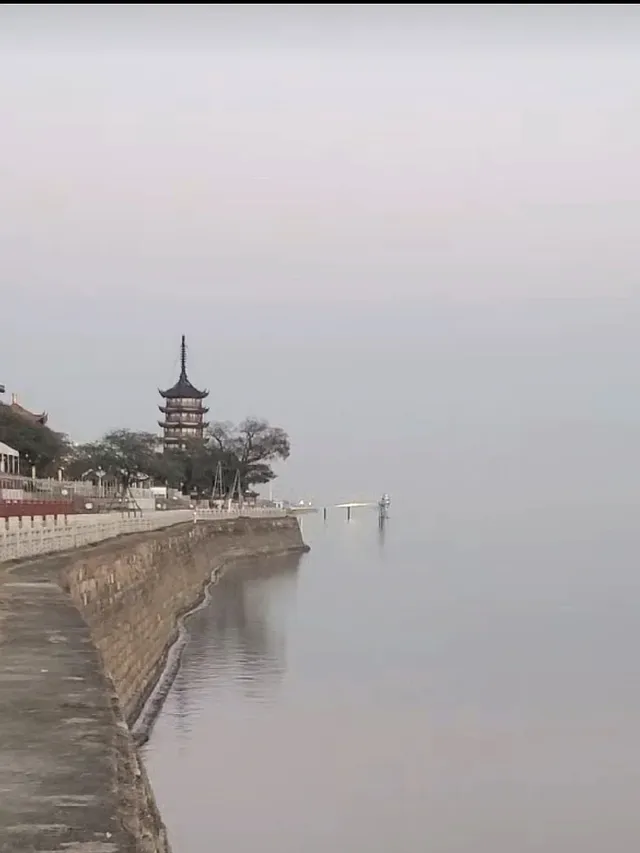 上海週末11|我在乾隆故里拍到了鵝生照片 上海週末11|我在乾隆故里拍到了鵝生照片