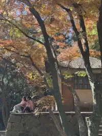 不避雷!莫干山自駕徒步賞秋滬人經驗貼