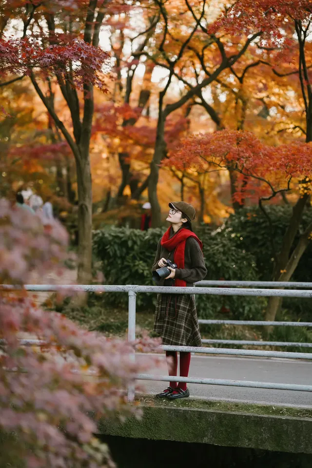 抬頭邂逅一場落地的「星辰」
