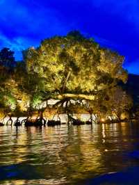 水上宋城夜景天花板無愧東方威尼斯