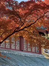 不避雷!莫干山自駕徒步賞秋滬人經驗貼