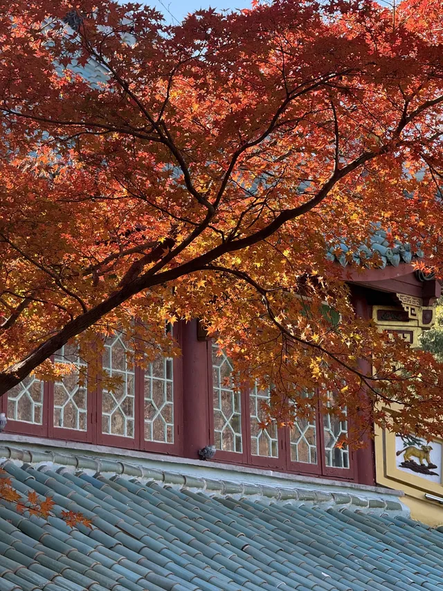 不避雷!莫干山自駕徒步賞秋滬人經驗貼 不避雷!莫干山自駕徒步賞秋滬人經驗貼