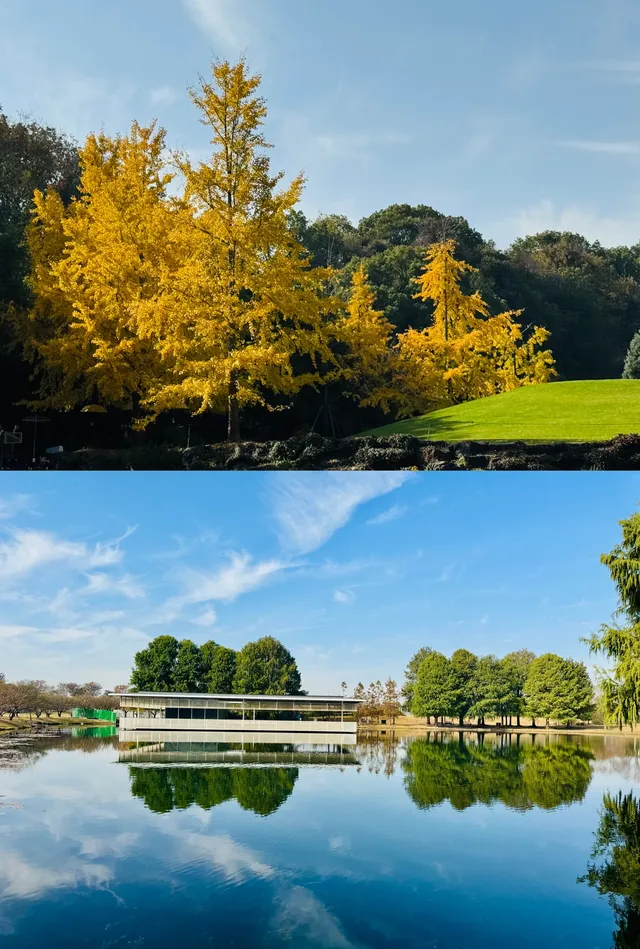 上海辰山植物園遛娃賞秋景 上海辰山植物園遛娃賞秋景