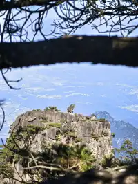 12月1號,天晴,徒步20多公里遊覽黃山