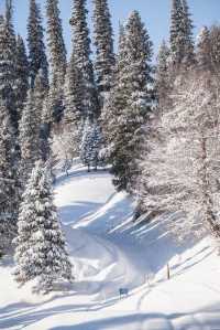 北疆那拉提滑雪全攻略熱血燃冬 vs 親子治癒!