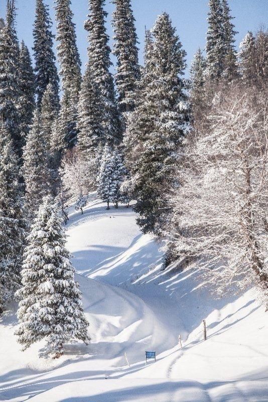 北疆那拉提滑雪全攻略熱血燃冬 vs 親子治癒! 北疆那拉提滑雪全攻略熱血燃冬 vs 親子治癒!