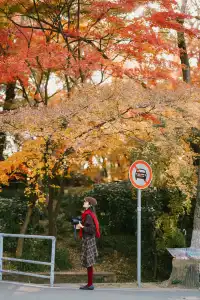 抬頭邂逅一場落地的「星辰」
