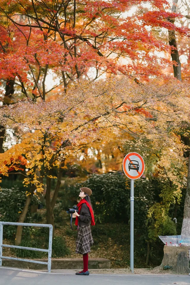 抬頭邂逅一場落地的「星辰」