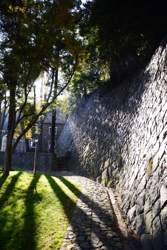 蔣公古道|5小時解鎖莫干山秋日限定美麗