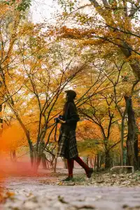 抬頭邂逅一場落地的「星辰」